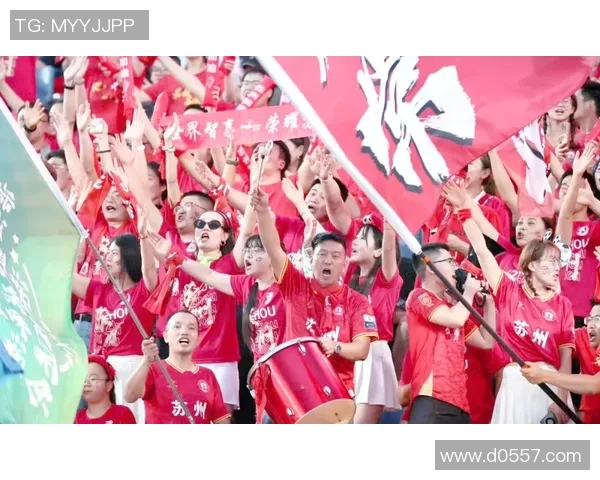 中文足球的崛起与挑战探讨中国足球未来发展的新机遇与方向