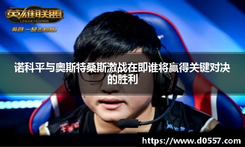 诺科平与奥斯特桑斯激战在即谁将赢得关键对决的胜利