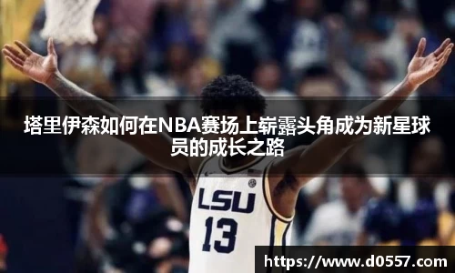 3377体育官网